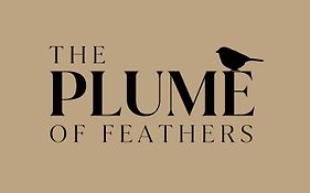 The Plume Of Feathers